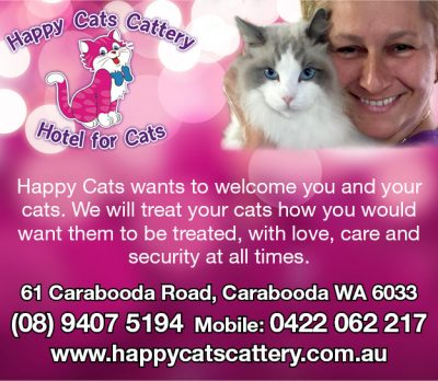 Happy Cats Cattery