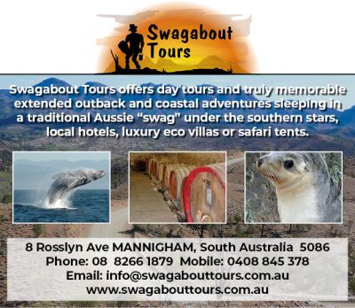 Swagabout Tours