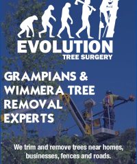 Evolution Tree Surgery