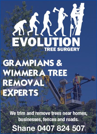 Evolution Tree Surgery