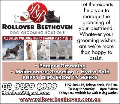Rollover Beethoven Dog Grooming Boutique