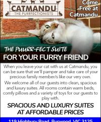 Catmandu Motel for Cats