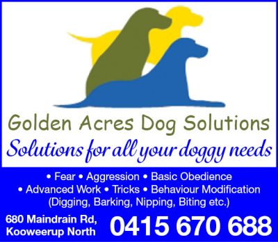 Golden Acres Dog Solutions