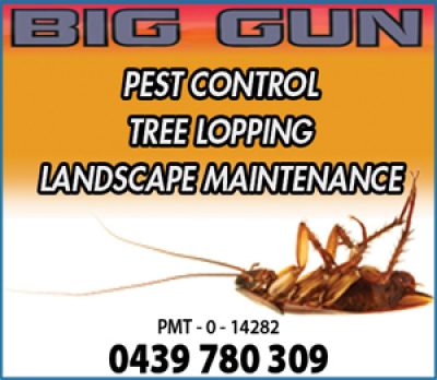 Big Gun Pest Control