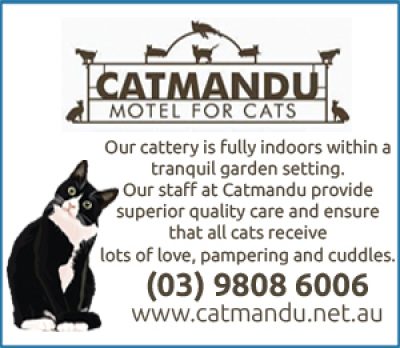 Cat Mandu Motel