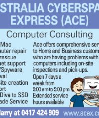 Australia Cyberspace Express (ACE)