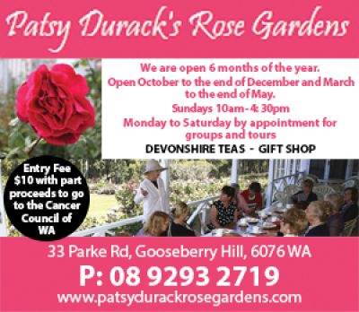 Patsy Durack Rose Gardens