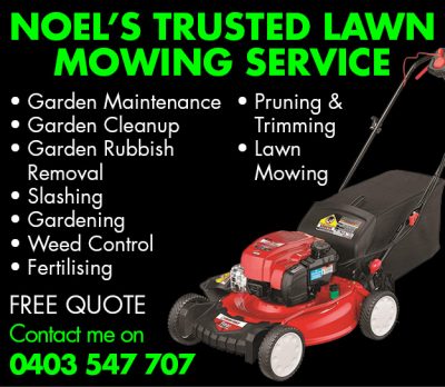 Noel&#8217;s Trusted Lawn Mowing Service