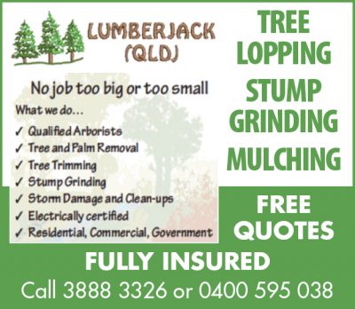 Lumberjack Qld