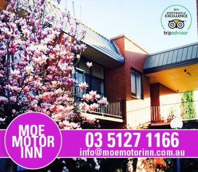 Moe Motor Inn