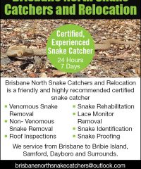 Brisbane North Snake Catchers and Relocation