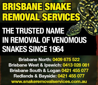 Brisbane Snake Removal Services