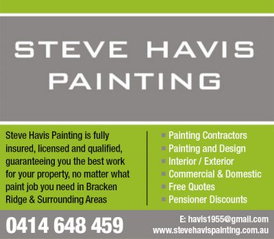 Steve Havis Painter