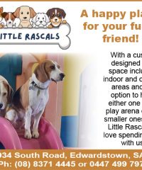 Little Rascals Dog Daycare
