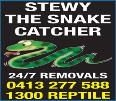 Stewy The Snake Catcher